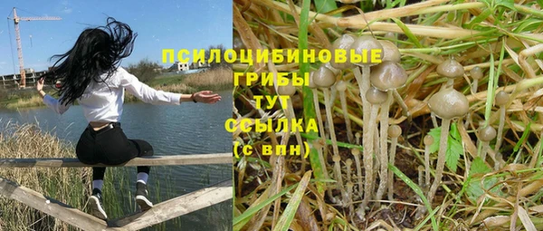 бошки Богородицк