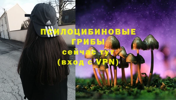 бошки Богородицк
