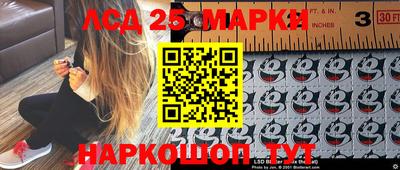 эйфоретик Гатчина