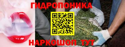 эйфоретик Гатчина