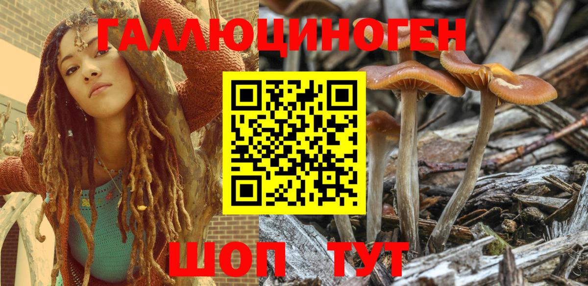Галлюциногенные грибы мицелий  даркнет сайт  Дивногорск 